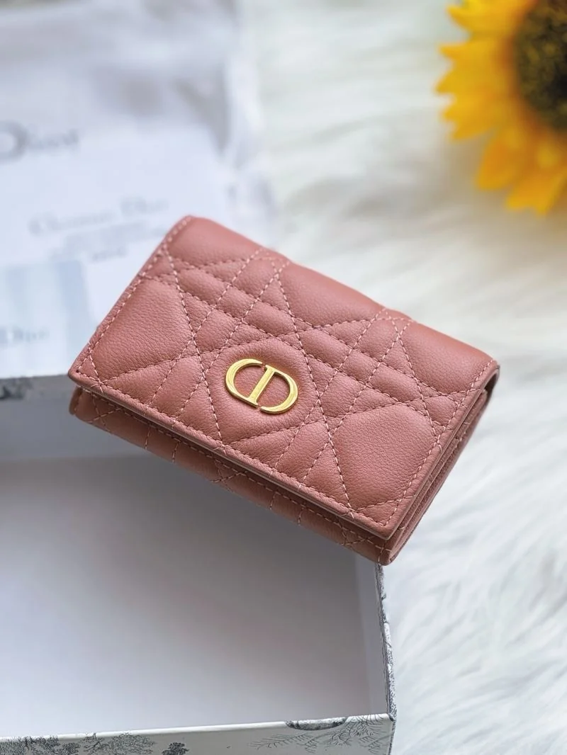 OdorResistant Christian Dior Wallets Purse 46674