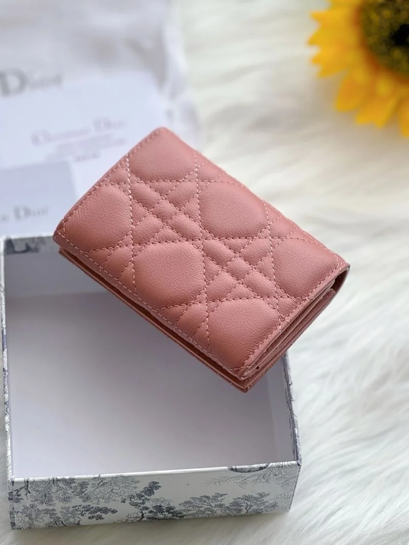OdorResistant Christian Dior Wallets Purse 46674