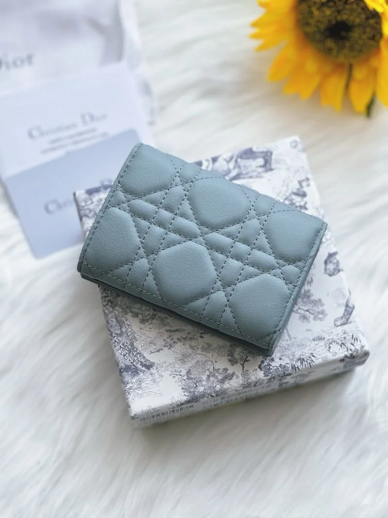 Christian Dior Wallets Purse WaterResistant 46667