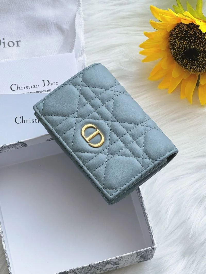 Christian Dior Wallets Purse WaterResistant 46667