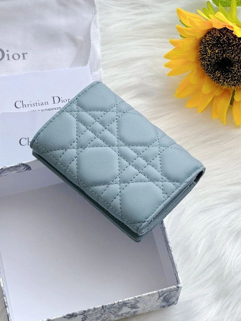 Christian Dior Wallets Purse WaterResistant 46667