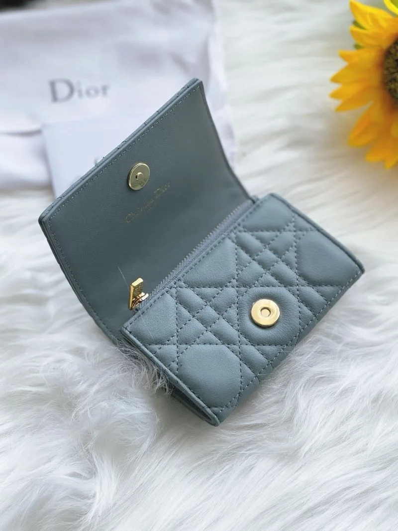 Christian Dior Wallets Purse WaterResistant 46667
