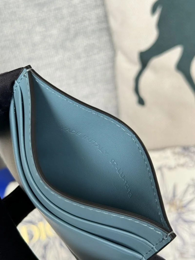 Christian Dior Wallets Purse SunProtective 46097