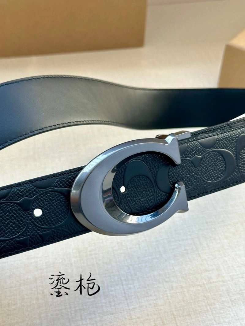 Sleek Coach Belts 285377