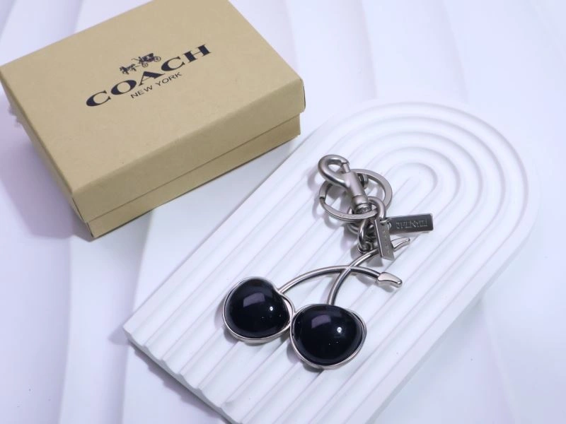 WrinkleFree Coach Keychains 265676