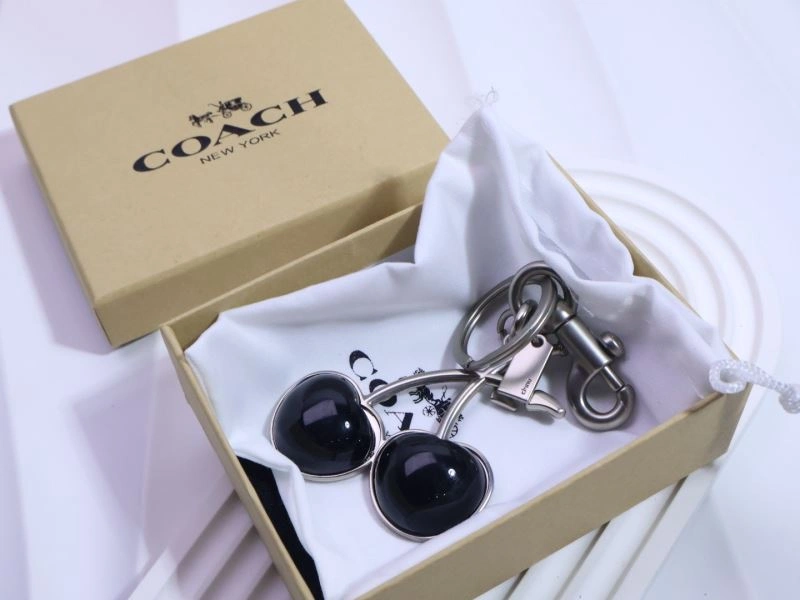 WrinkleFree Coach Keychains 265676