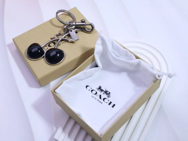 WrinkleFree Coach Keychains 265676