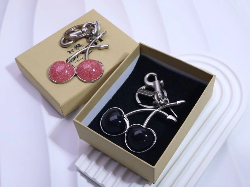 WrinkleFree Coach Keychains 265676