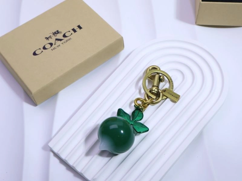 Unique Coach Keychains 265664