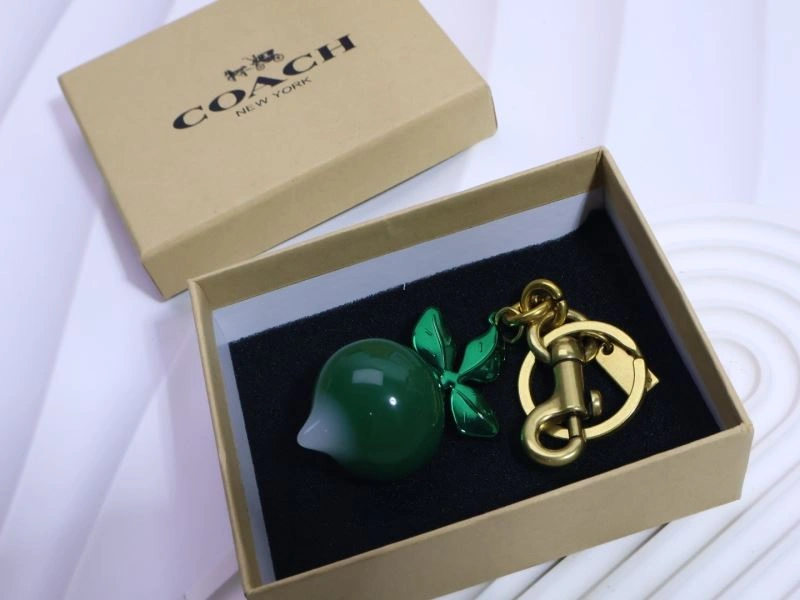 Unique Coach Keychains 265664