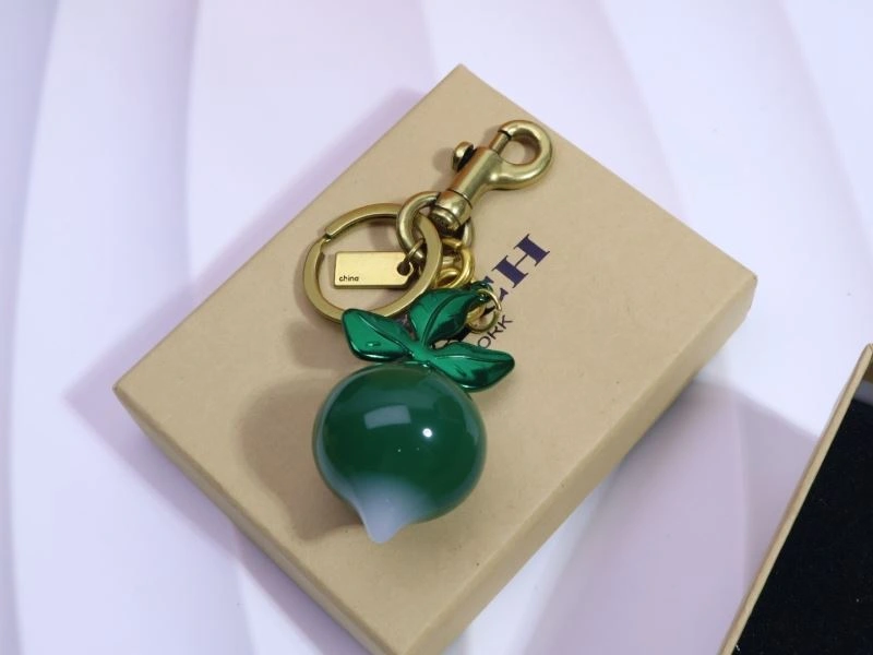 Unique Coach Keychains 265664