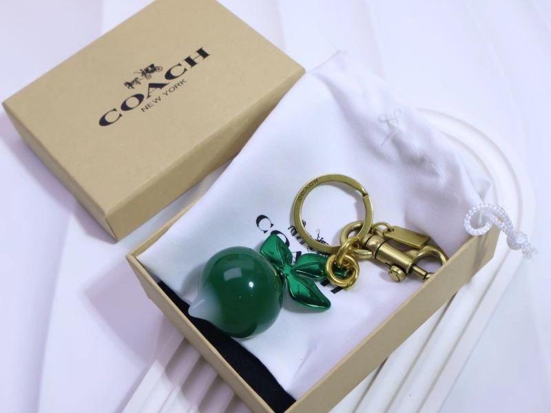 Unique Coach Keychains 265664