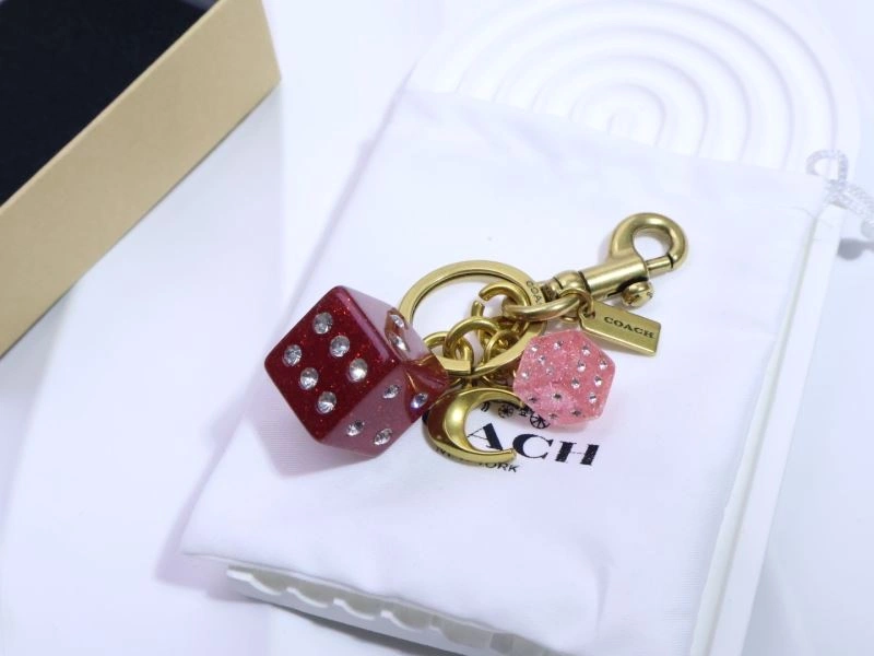 Coach Keychains Thermal 265668