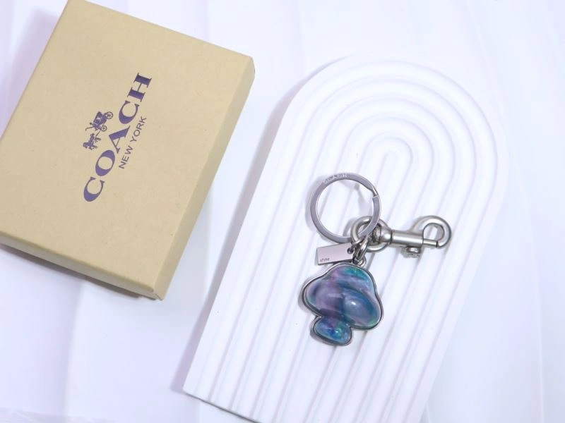 Coach Keychains ModernLook 265661