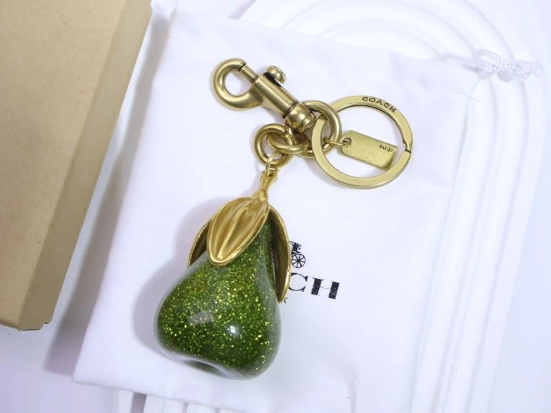 Unique Coach Keychains 265667