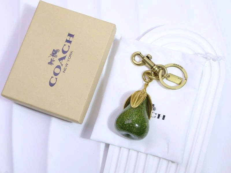 Unique Coach Keychains 265667