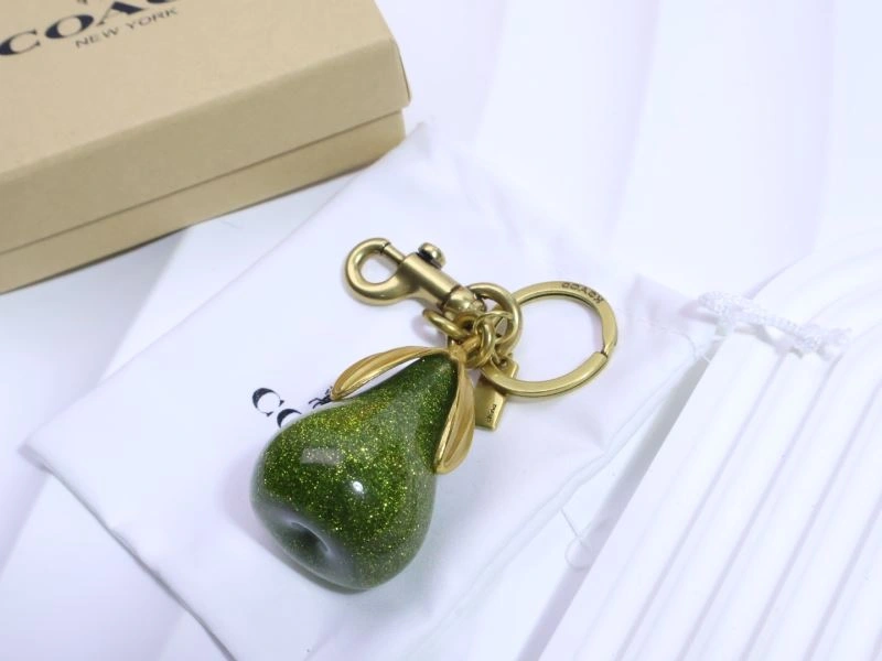 Unique Coach Keychains 265667
