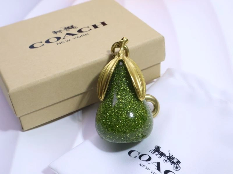 Unique Coach Keychains 265667