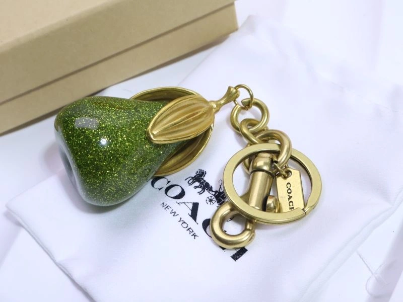 Unique Coach Keychains 265667