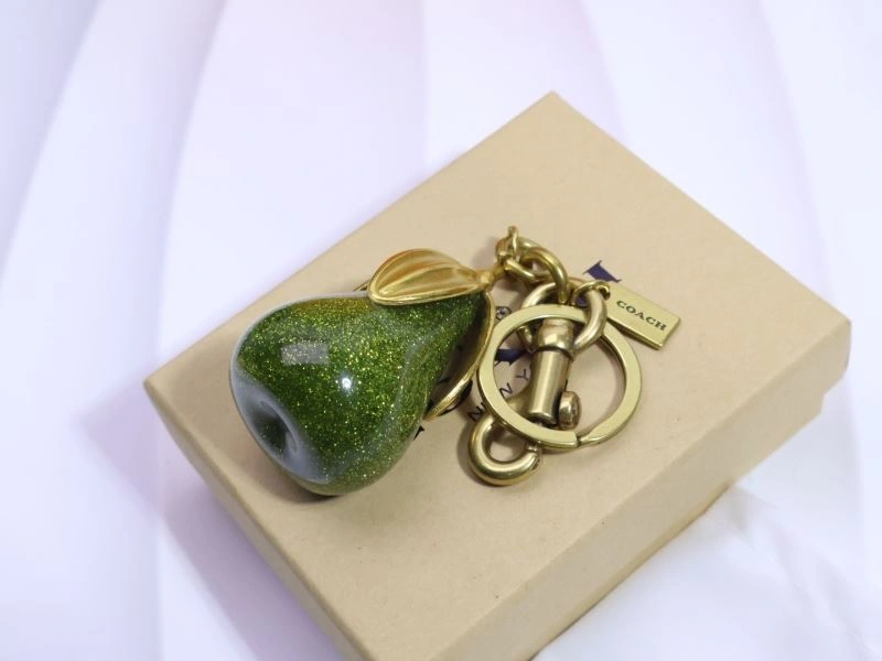 Unique Coach Keychains 265667