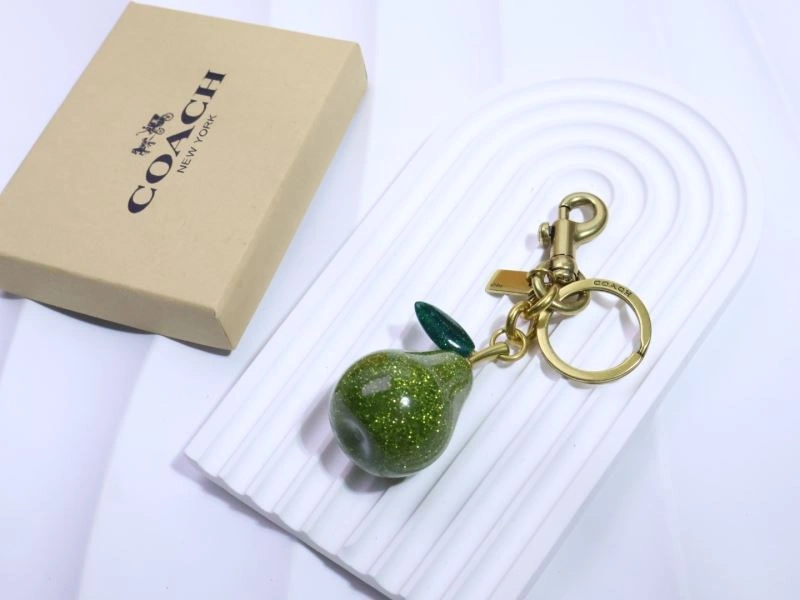 Coach Keychains StreetReady 265659