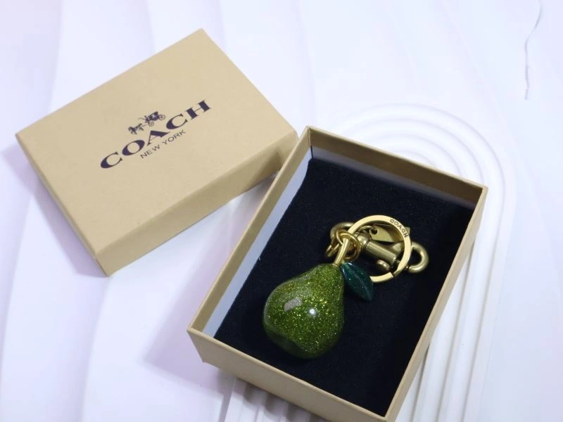 Coach Keychains StreetReady 265659