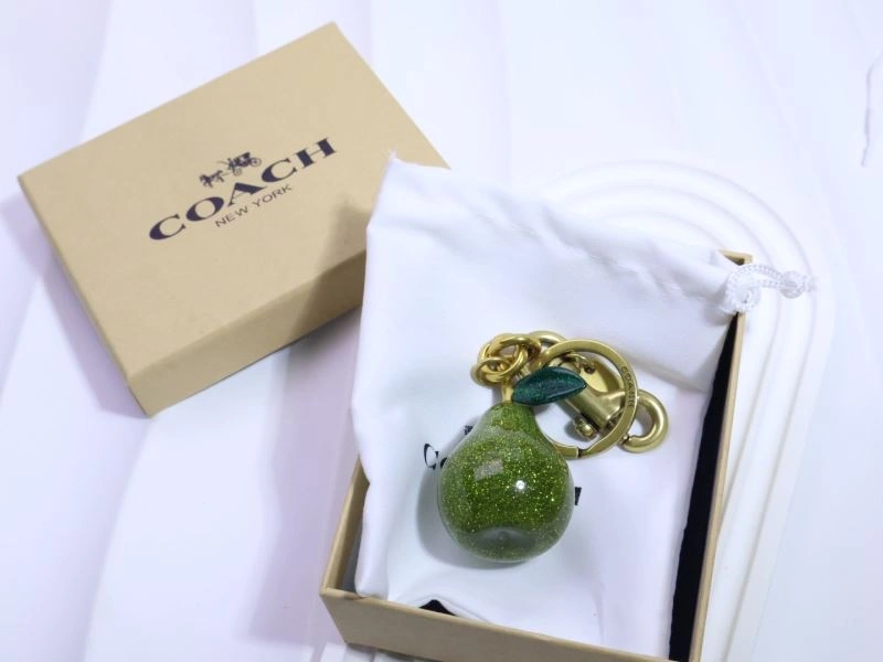 Coach Keychains StreetReady 265659