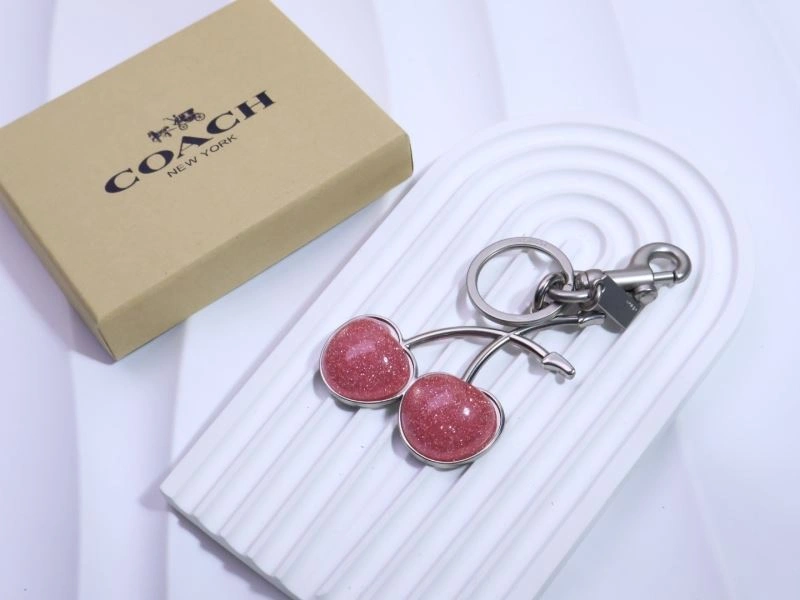 Coach Keychains EasyCare 265654