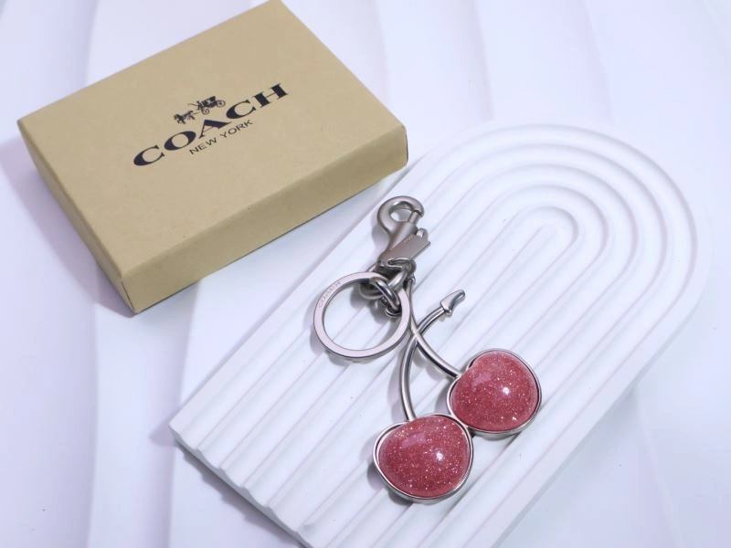 Coach Keychains EasyCare 265654