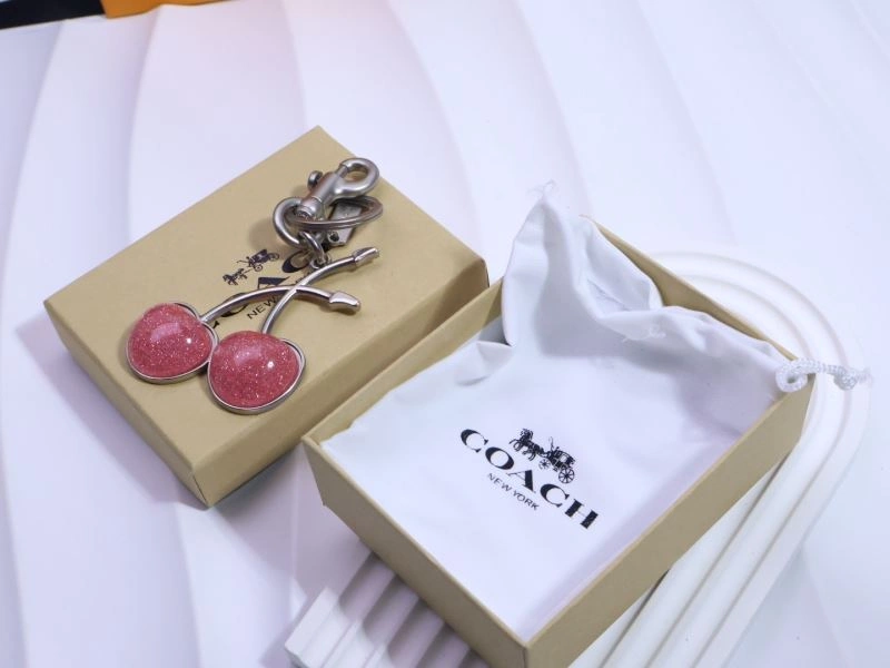 Coach Keychains EasyCare 265654