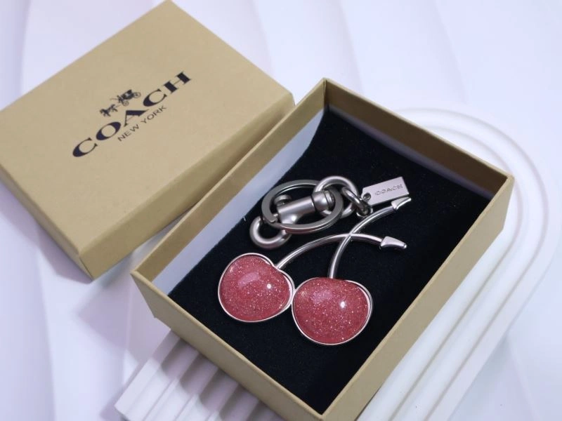 Coach Keychains EasyCare 265654