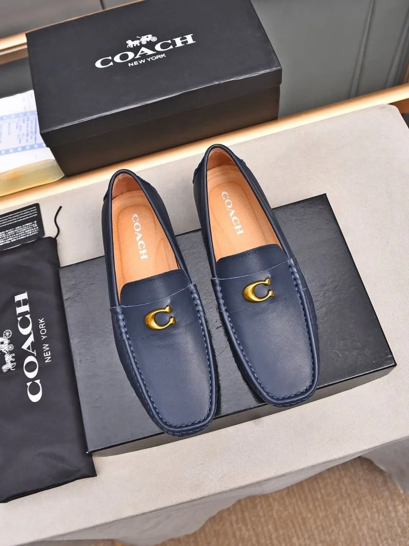 Coach Shoes Thermal 4942