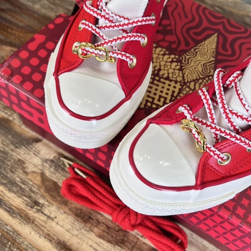 Converse Shoes ZipUp 4904