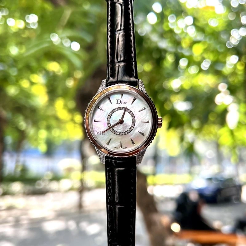 TravelReady DIOR Watches 182165