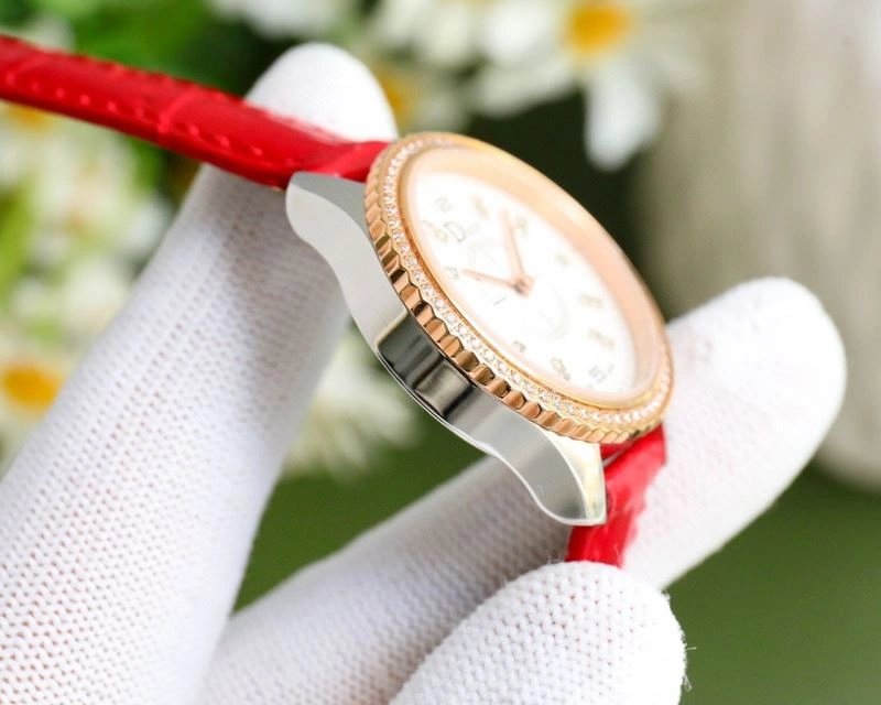 DIOR Watches AllSeason 182143
