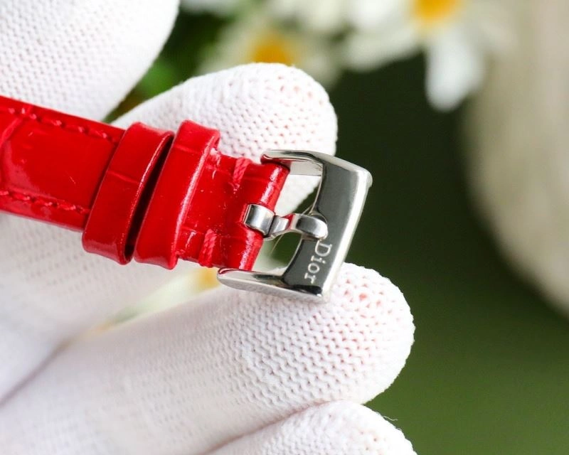 DIOR Watches AllSeason 182143