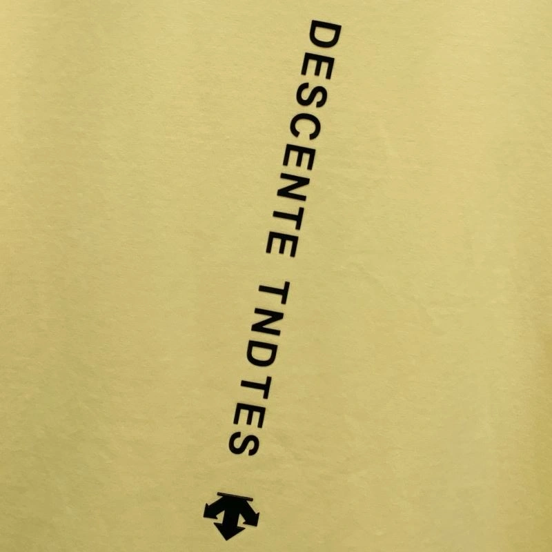 RelaxedFit Descente T-Shirts 160810