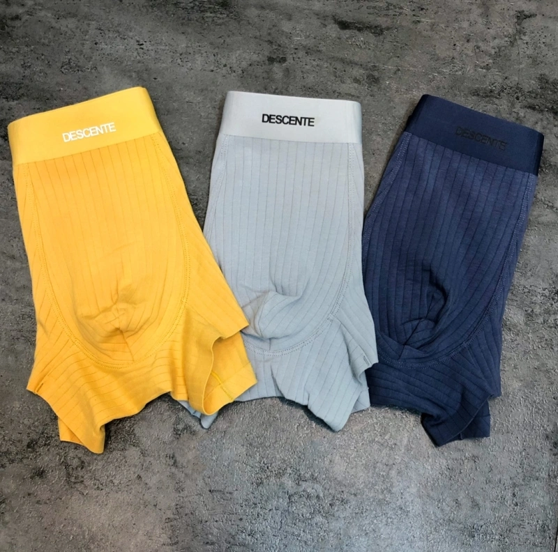 Thermal Descente Underwear 276418