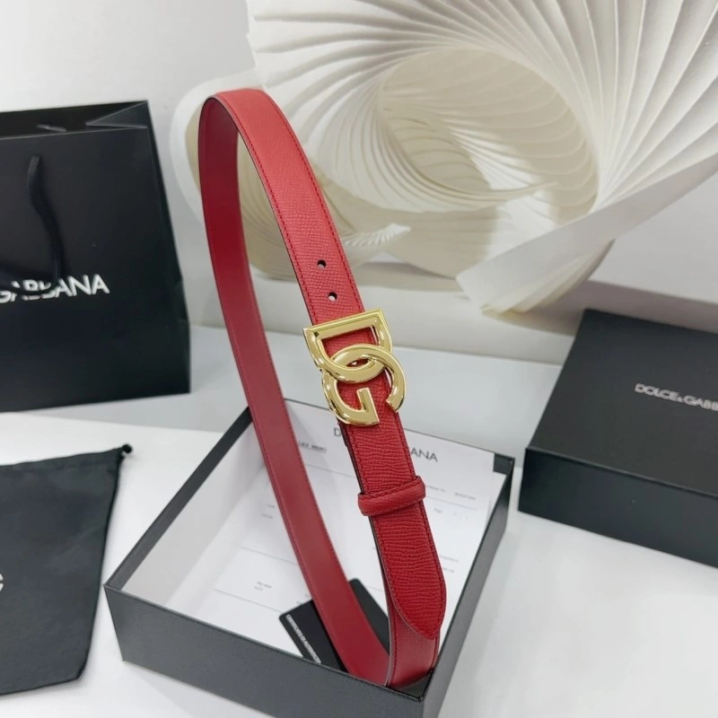 Vibrant Dolce Gabbana Belts 285433