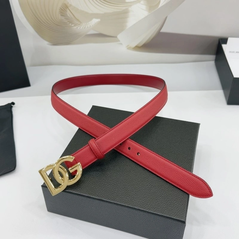 Vibrant Dolce Gabbana Belts 285433