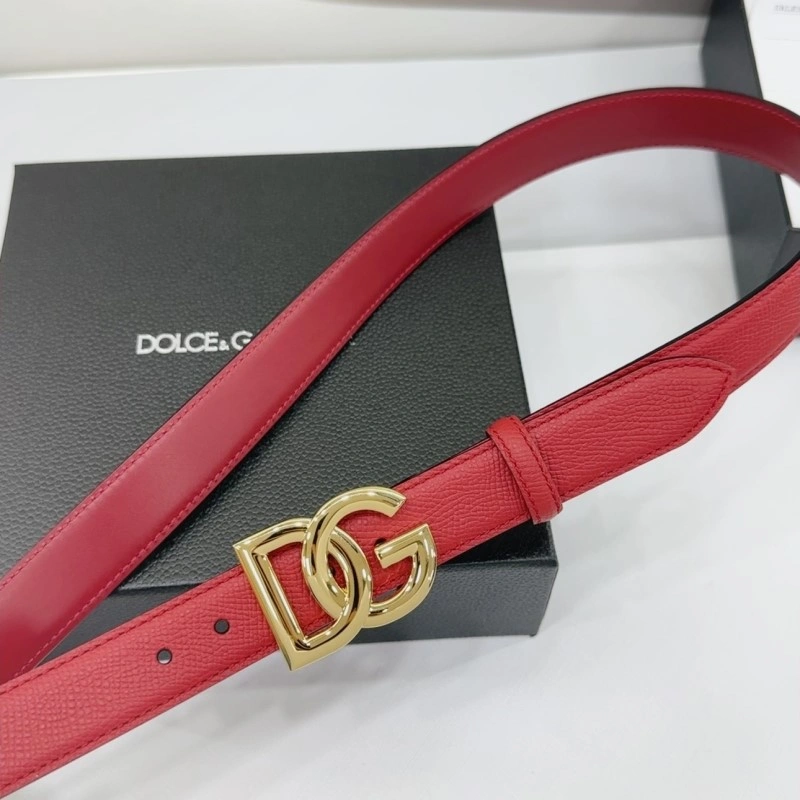 Vibrant Dolce Gabbana Belts 285433