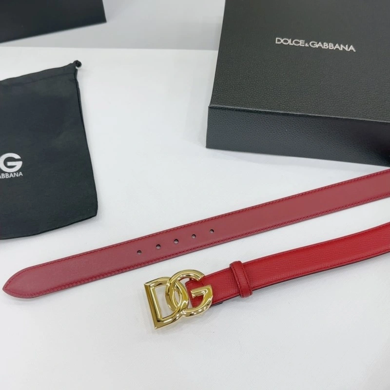 Vibrant Dolce Gabbana Belts 285433