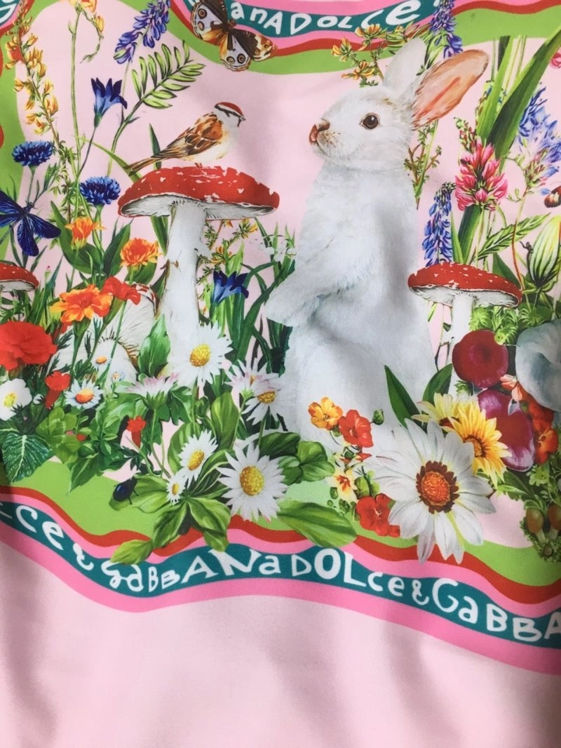 Dolce Gabbana Bikins Unique 119225