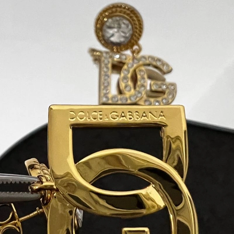 Dolce Gabbana Earrings Bright 214625