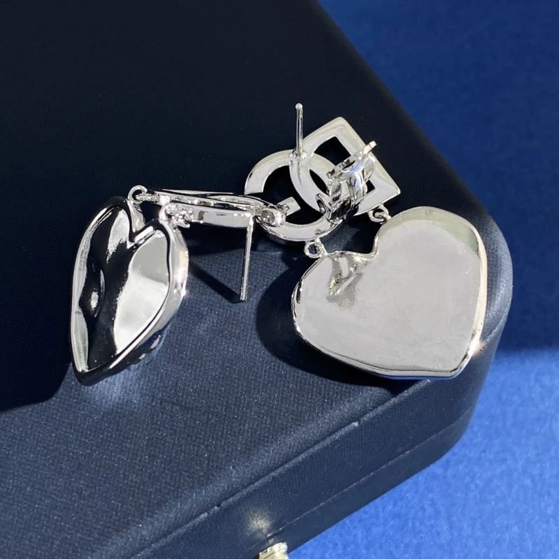 FastDry Dolce Gabbana Earrings 209354