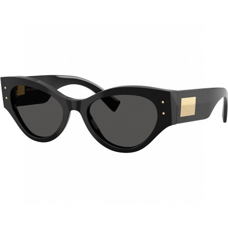 Sustainable Dolce Gabbana Sunglasses 279161