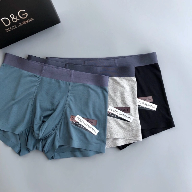 Dolce Gabbana Underwear Vibrant 276419