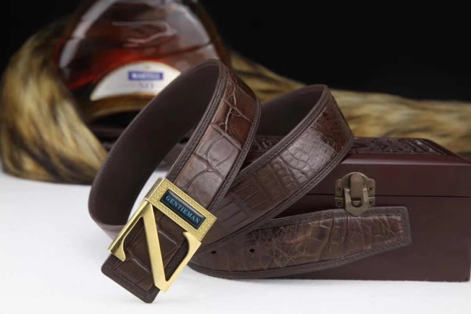 Seasonal Ermenegildo Zegna Belts 285550