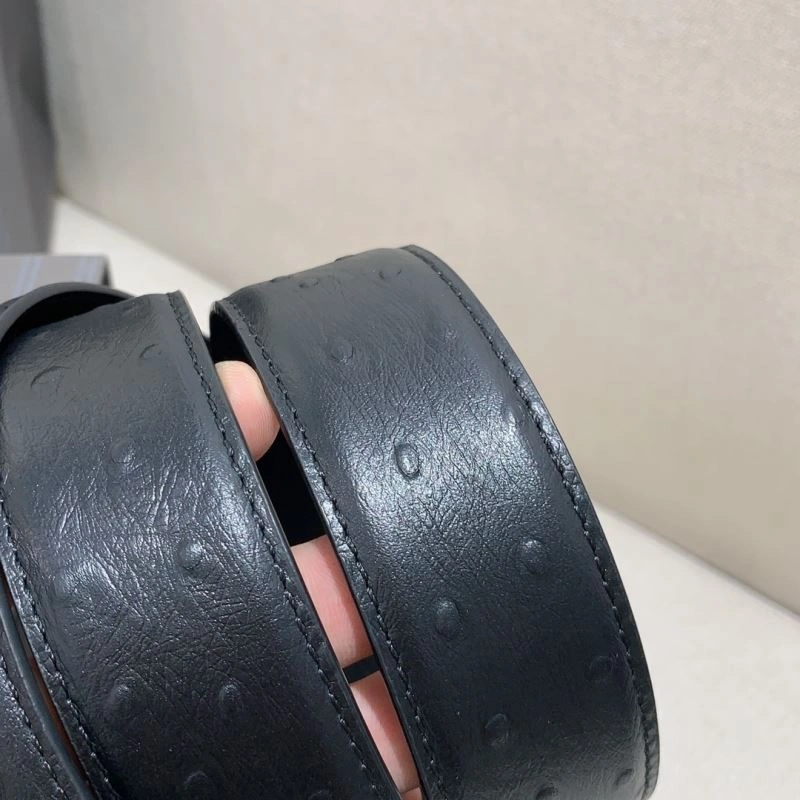 Bold Ermenegildo Zegna Belts 285548