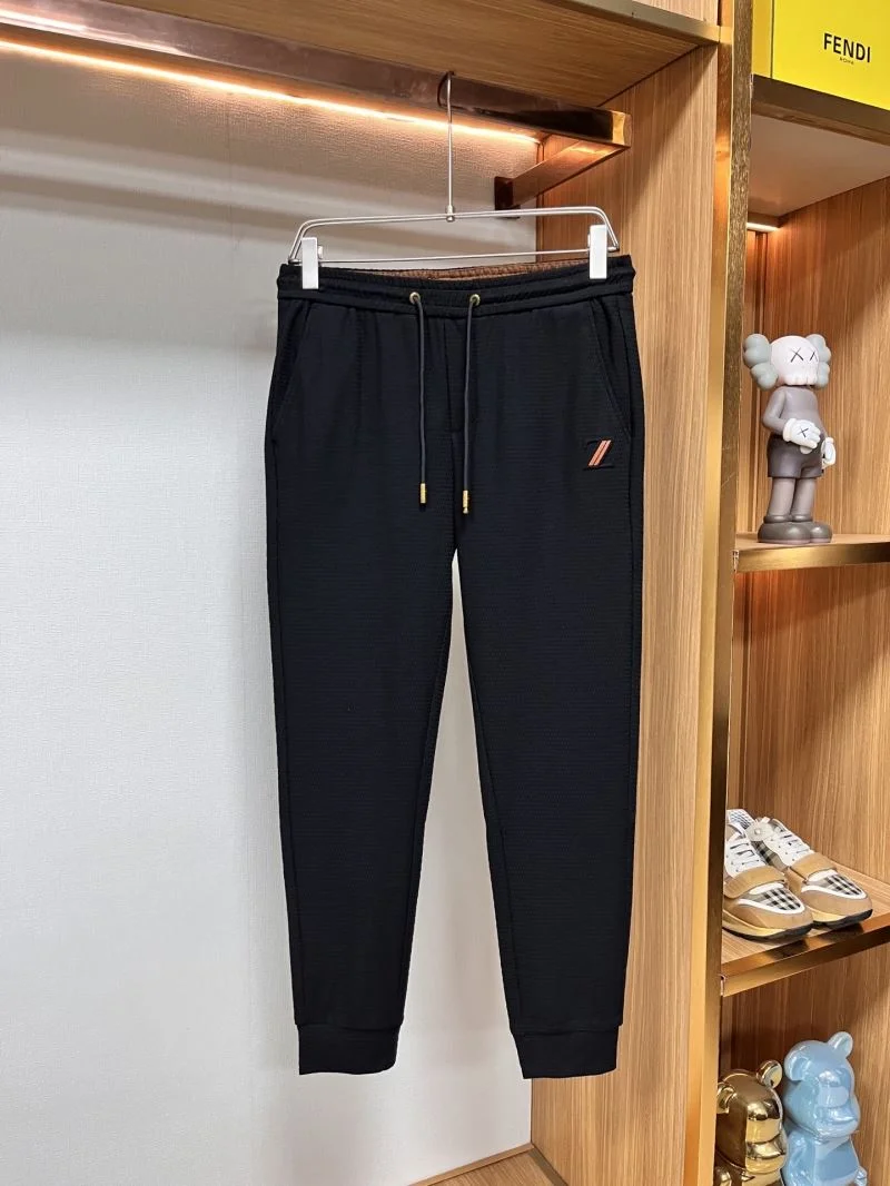 EyeCatching Ermenegildo Zegna Long Pants 162952